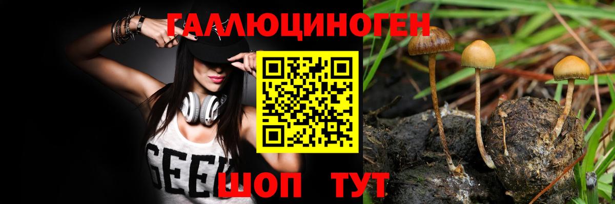 Ишим  Галлюциногенные грибы Psilocybine cubensis  Псилоцибиновые грибы MAGIC MUSHROOMS  Вход с VPN 